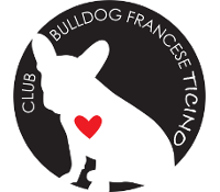 Club Bulldog Francese Ticino